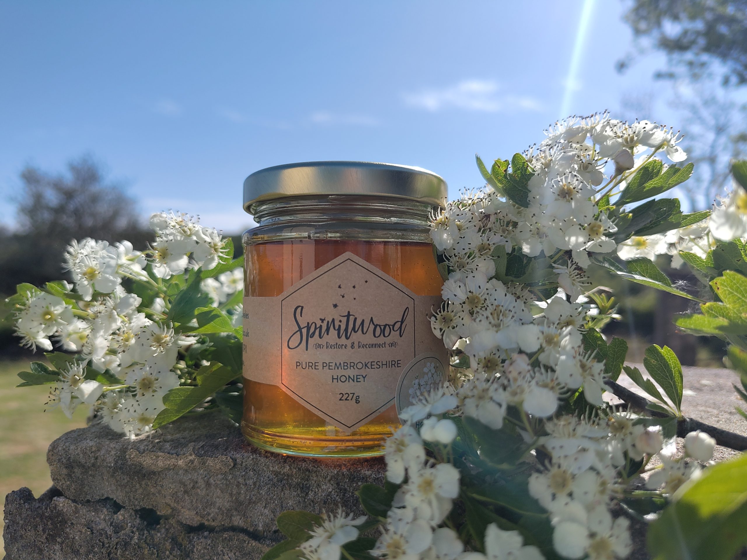 Get Hawthorn Honey from Spiritwood Wales, natural Pembrokeshire honey